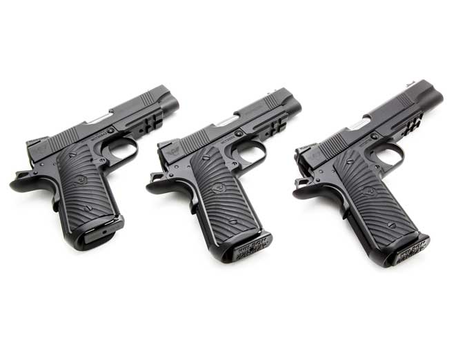 wilson combat, wilson combat protector, wilson combat protector professional, wilson combat 2015 protector, wilson combat protector compact, wilson compact protector full-size