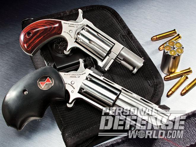 .22 WMR, .22 magnum, .22 WMR load