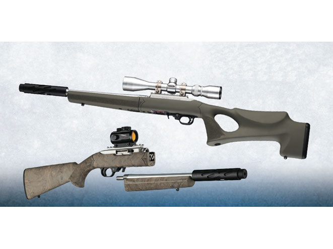 hogue, hogue takedown stocks, hogue ruger 10/22, ruger 10/22