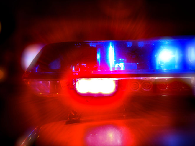 florida man, jarod clemons, jarod clemons molly, jarod clemons killed, home invasion florida