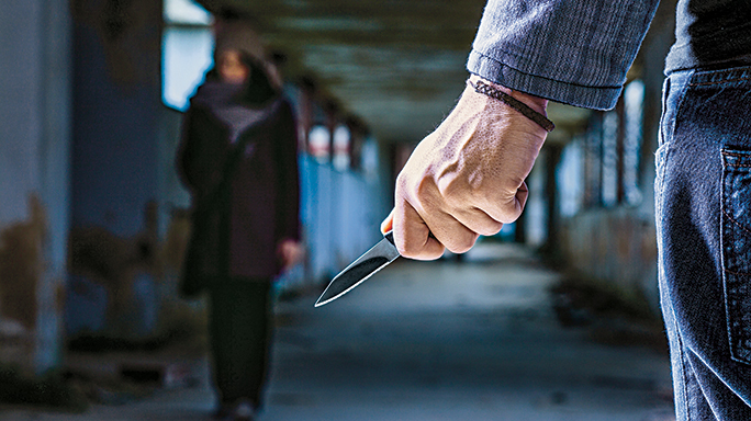 Ambush Killers knife LEO