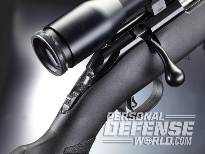 ruger, ruger american rimfire, ruger american rimfire rifle, american rimfire, american rimfire rifle, american rimfire .22 lr, ruger american rifle .22 lr, ruger american rimfire bushnell scope