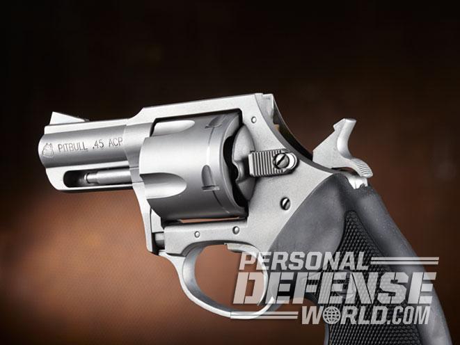 charter arms, charter arms pitbull, charter arms pitbull .45 ACP, pitbull .45 ACP, pitbull revolver, charter arms pitbull revolver, charter arms pitbull gun, charter arms pitbull hammer