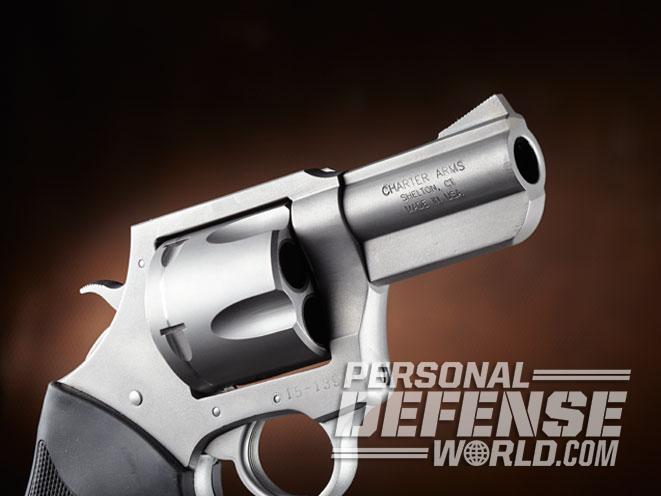 charter arms, charter arms pitbull, charter arms pitbull .45 ACP, pitbull .45 ACP, pitbull revolver, charter arms pitbull revolver, charter arms pitbull gun, charter arms pitbull profile