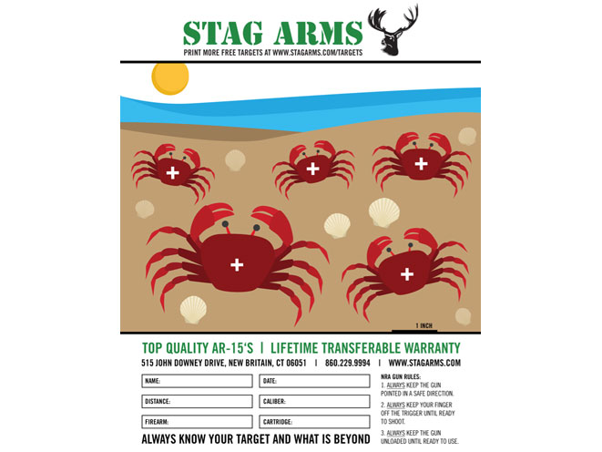 Stag Arms, Stag Arms target, Stag Arms printable target, stag arms crabs on the beach