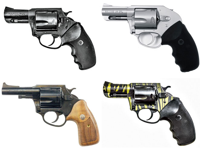 charter arms, charter arms bulldog, charter arms bulldog revolver, bulldog revolver