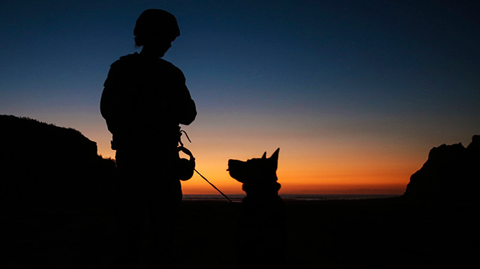 Marine Dog Teams Camp Pendleton 2015