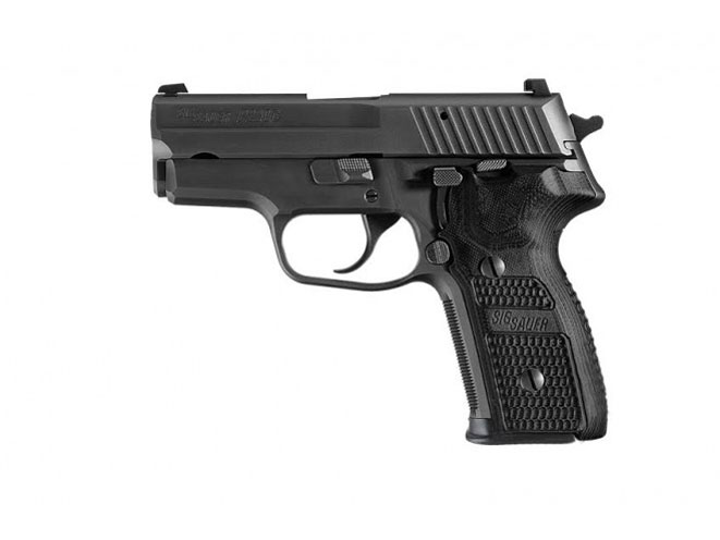 sig sauer, sig sauer p229 carry, p229 carry