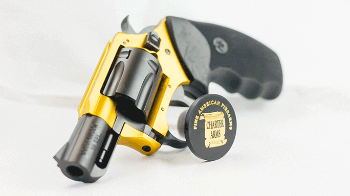 2015 revolvers Charter Arms Pitbull .45 ACP