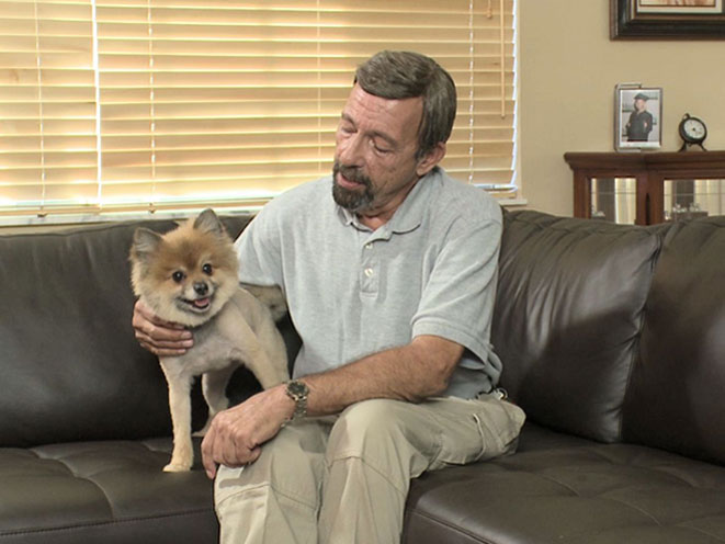 massad ayoob, massad ayoob dvd, massad ayoob make ready home defense, massad ayoob panteao, massad ayoob make ready with home defense, massad ayoob animal