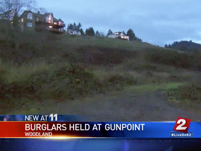 burglary, intruders, burglary suspect