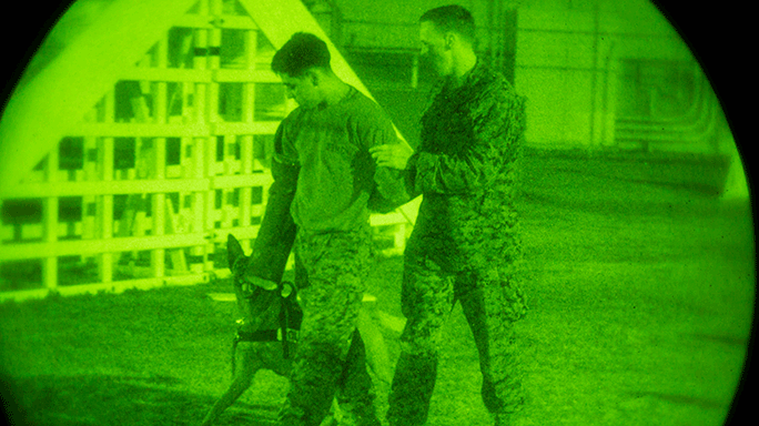 Marine K-9 Units Night Training