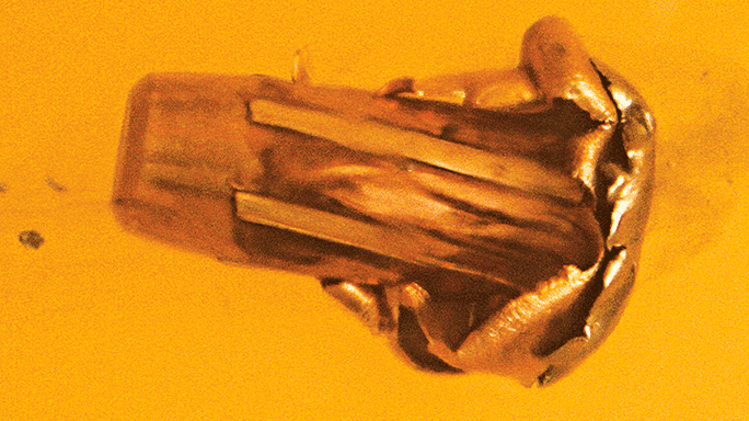 Tactical Weapons Hornady ELD Ammo mushroom