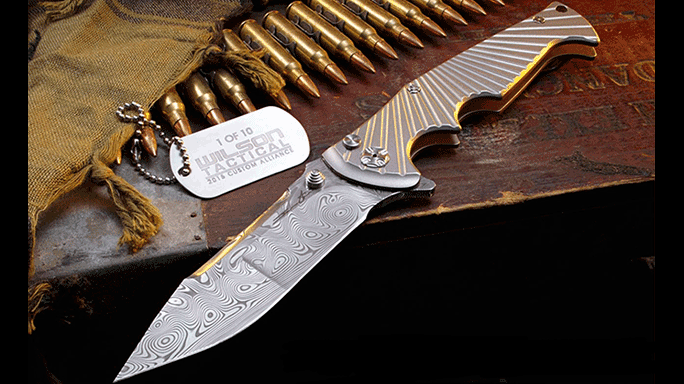 Wilson Combat Damasteel StarRaider Knife