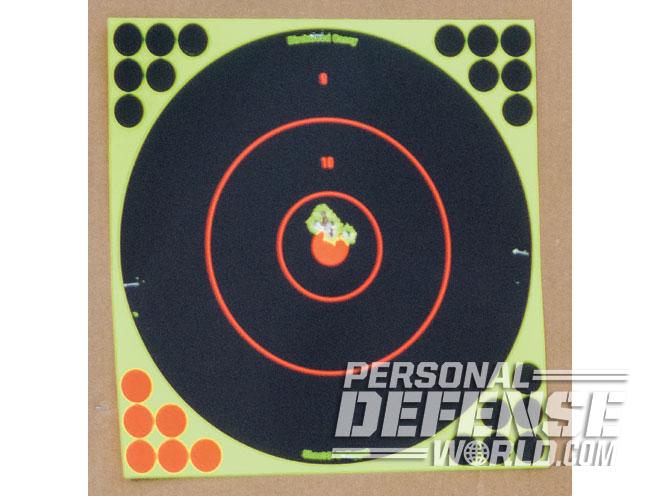 walther, walther pps, walther pps m2, pps m2, pps m2 target