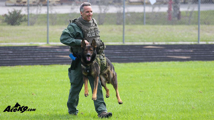 K9 Ike Jeff Perryman