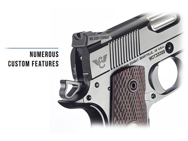 wilson combat, wilson combat sentinel compact, sentinel compact, sentinel compact sights