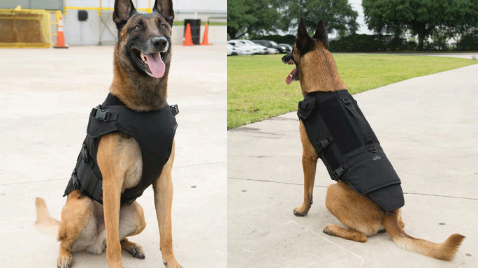 Protech Tactical Bark-9 Carrier