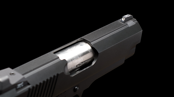 Dan Wesson ECO .45 ACP Elite Carry Officer Pistol port