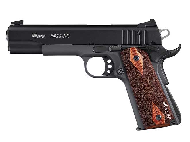Sig Sauer 1911 22 pistol