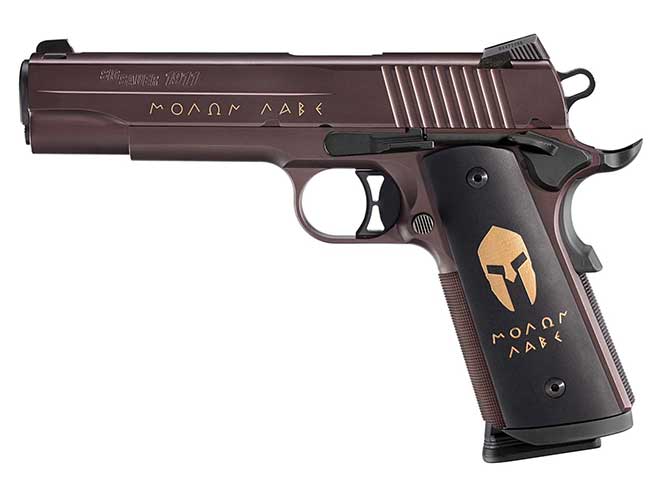 Sig Sauer 1911 SPARTAN pistol