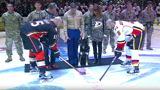 Bomb-Sniffing Dog Drops Puck at Anaheim Ducks Game