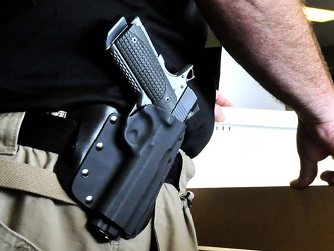 new florida open carry bill filed for 2017 session