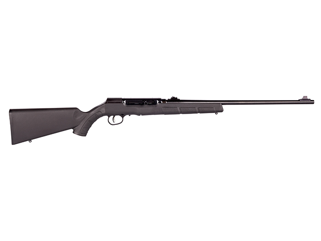 savage arms a22 in 22 lr