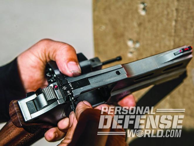 Chiappa Rhino rear sights