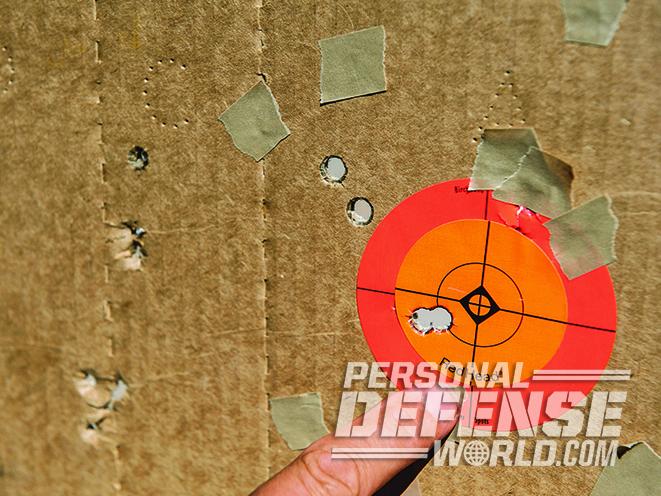 Chiappa Rhino 40ds target