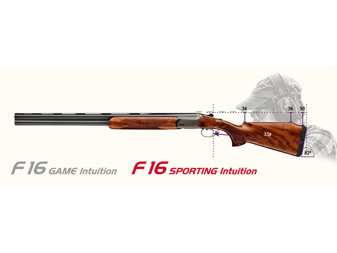 f16 Blaser intuition