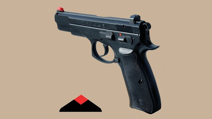 dark diamond night sight