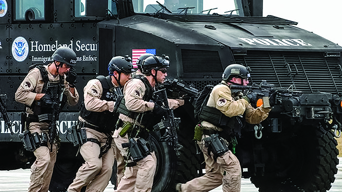 sig sauer p229 immigrations customs enforcement