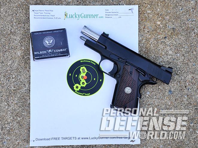 Wilson Combat Sentinel XL ammo