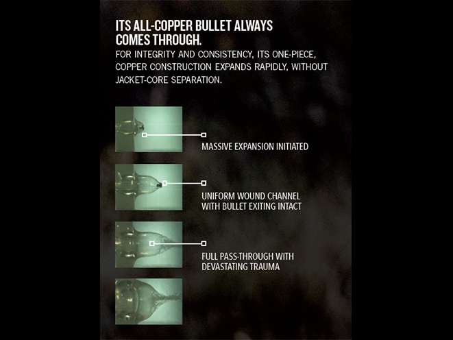 Remington Performance Wheelgun and HTP Copper ammunition