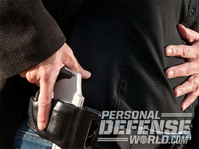 michigan constitutional carry