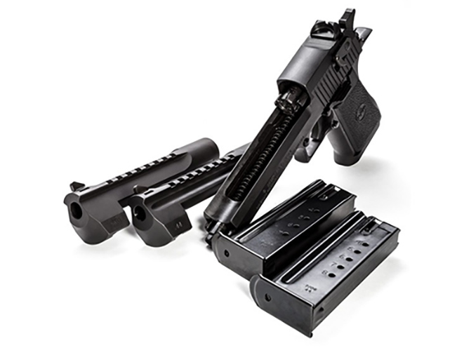 Magnum Research desert eagle pistol combo