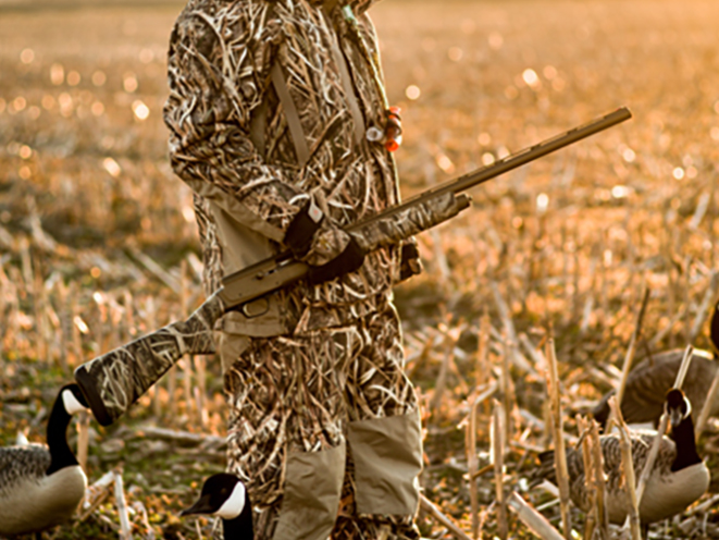 browning wicked wing shotgun