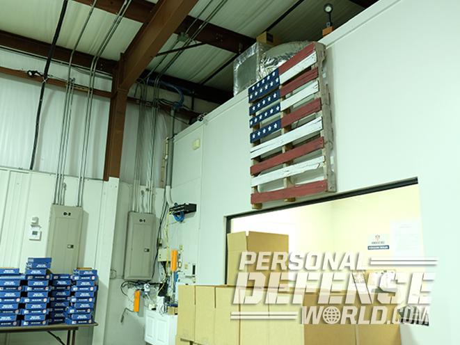 Honor Defense Honor Guard FIST pistol american flag