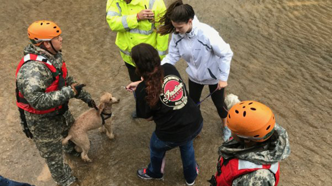 national guard hurricane harvey relief animals