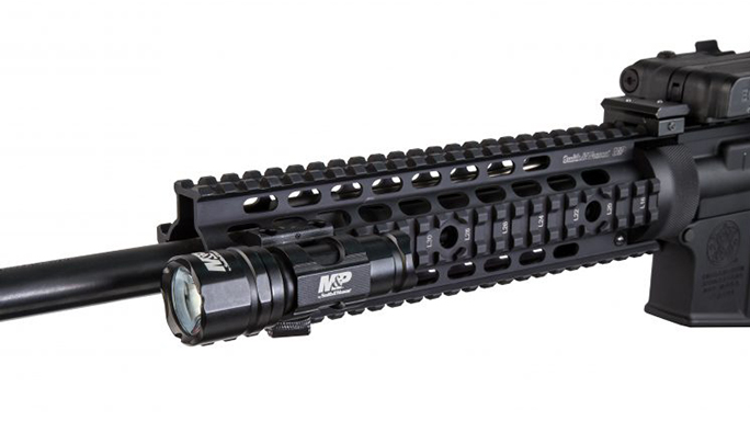 S&W Delta Force RM-10 attached