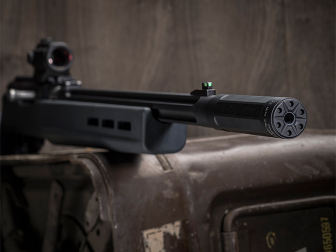 SureFire Ryder 22-Mini suppressor attached