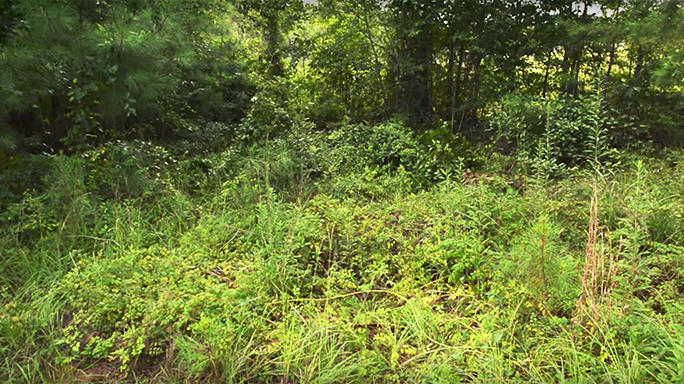 Find Hidden US Army Snipers?