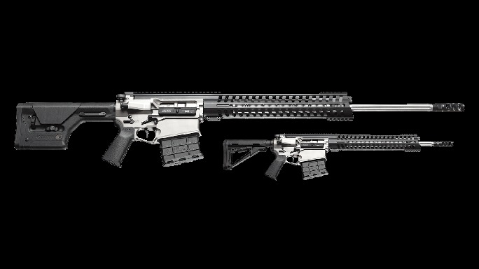 patriot ordnance P300 rifle