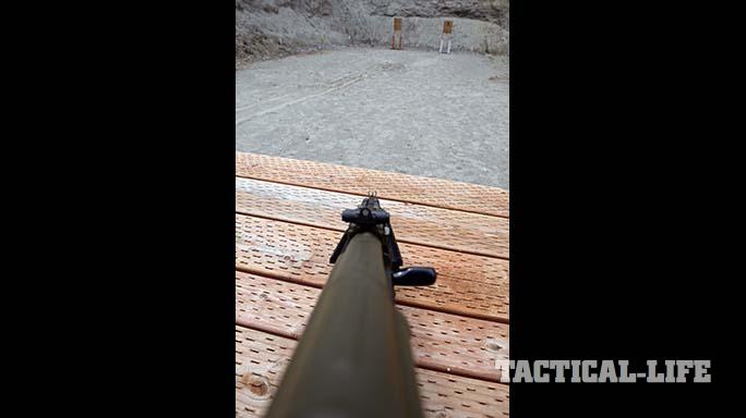 Definitive Arms DAKM-4150 rifle sights