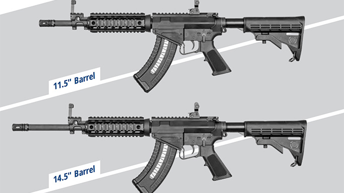 Emtan Karmiel MZ-47 rifles