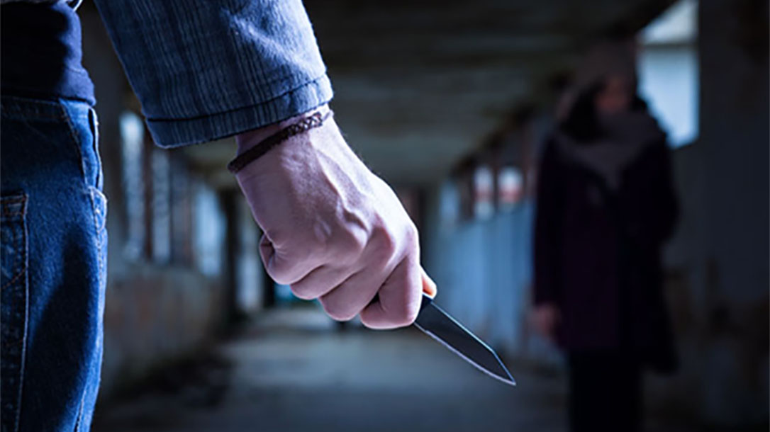 michigan concealed carry gun attack