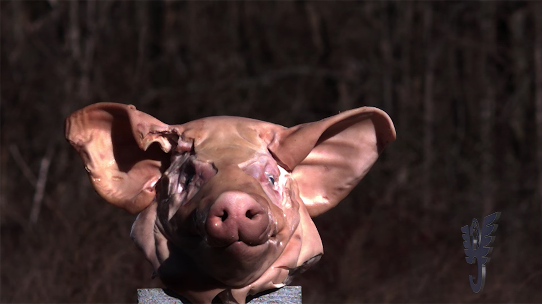 Wilson Combat 458 HAM'R Carbine pig head