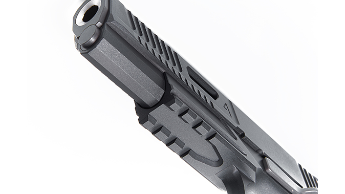 Nighthawk agent 2 pistol rail