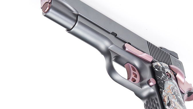 nighthawk Ladyhawk 2.0 controls